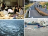 japan_ts